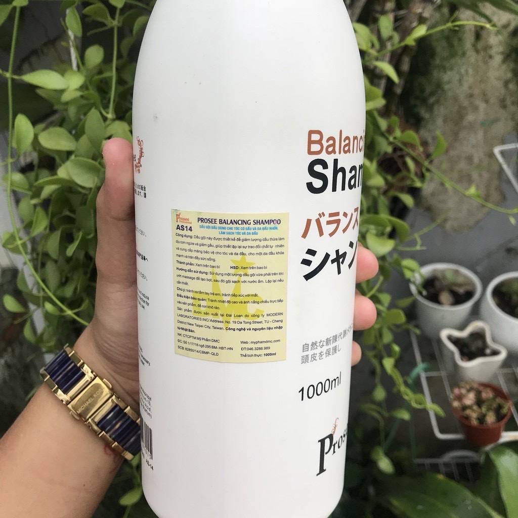 Dầu gội dành cho tóc gàu chống dầu, chống rụng tóc Prosee Balancing Shampoo AS14 1000ml