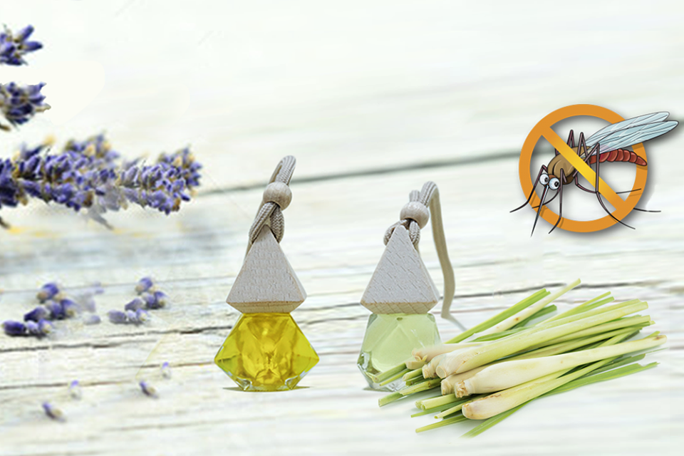 Combo 10 lọ tinh dầu treo xe , treo phòng hương Sả Chanh
