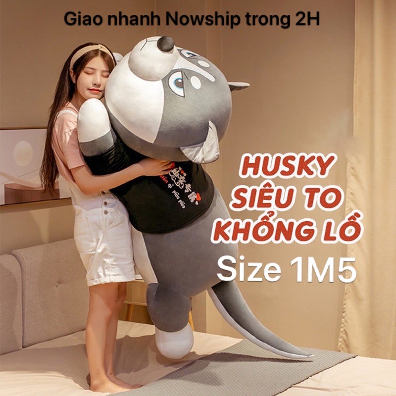 HCMGấu bông Chó husky chó ngáo size 1M5 Siêu to khổng lồ.