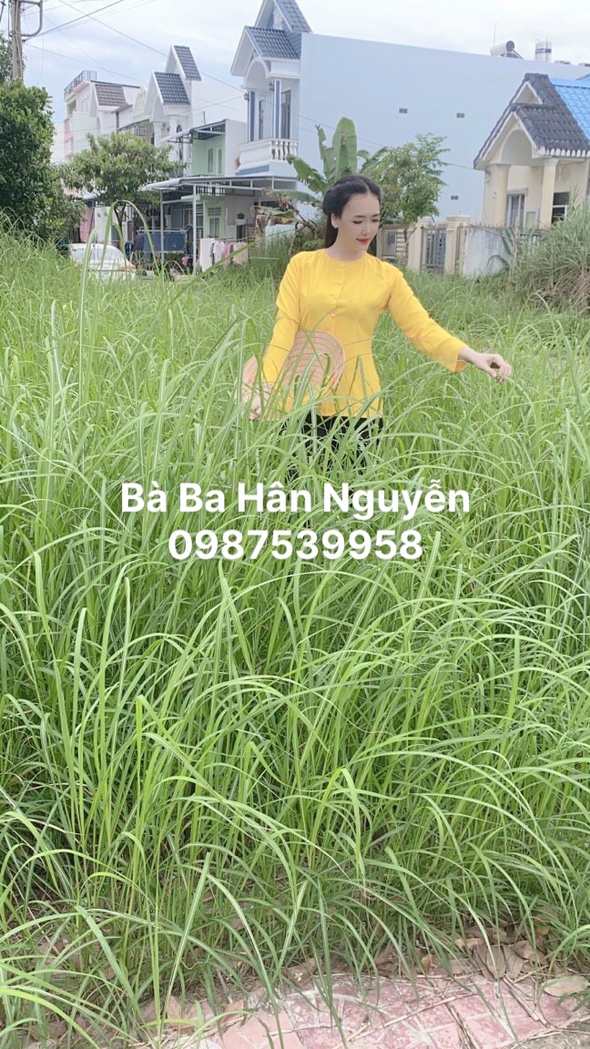 ÁO BÀ BA LỤA TRƠN (KEM QUẦN)