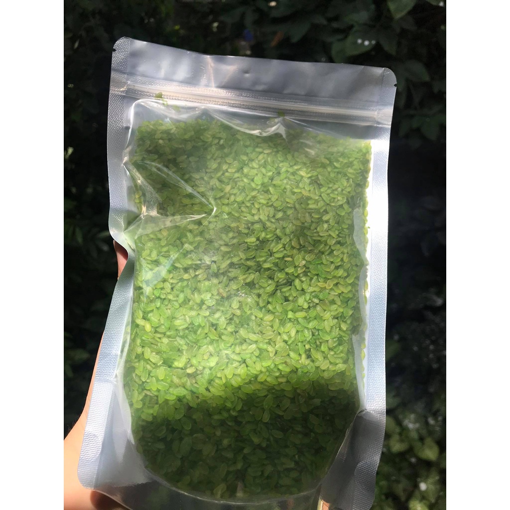 CỐM DẸP XANH ĐẶC SẢN LÀNG VÒNG 500gr