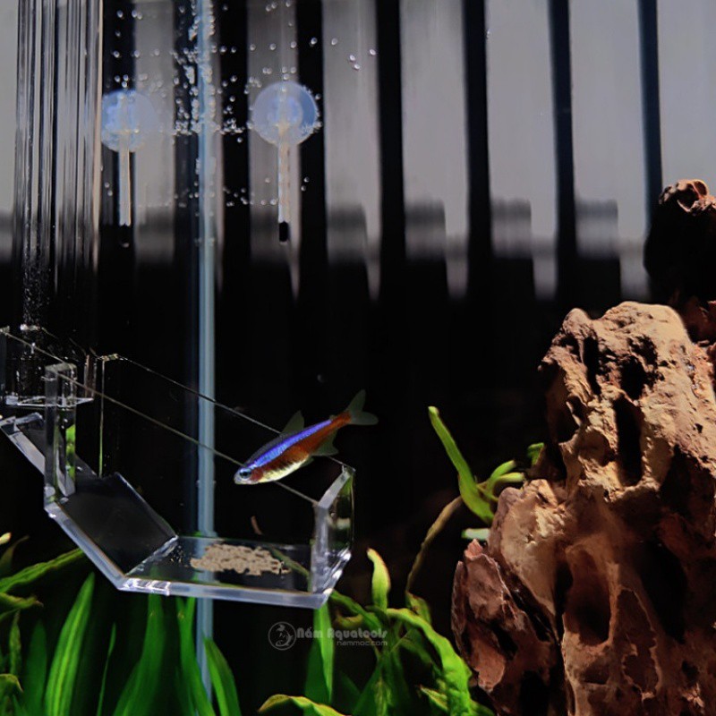 Bộ Cho Cá Tép Ăn - Chén Ống Tép Acrylic