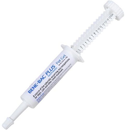 Gel tiêu hóa Bene Bac