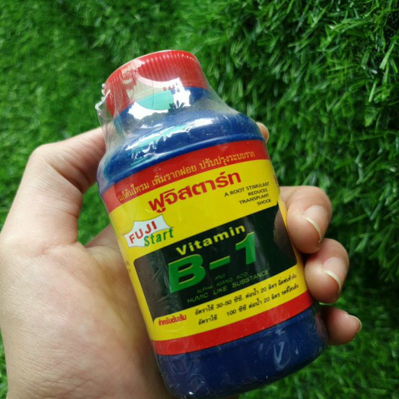 Lọ vitamin b1 thái lan chuyên dùng cho phong lan 100ml