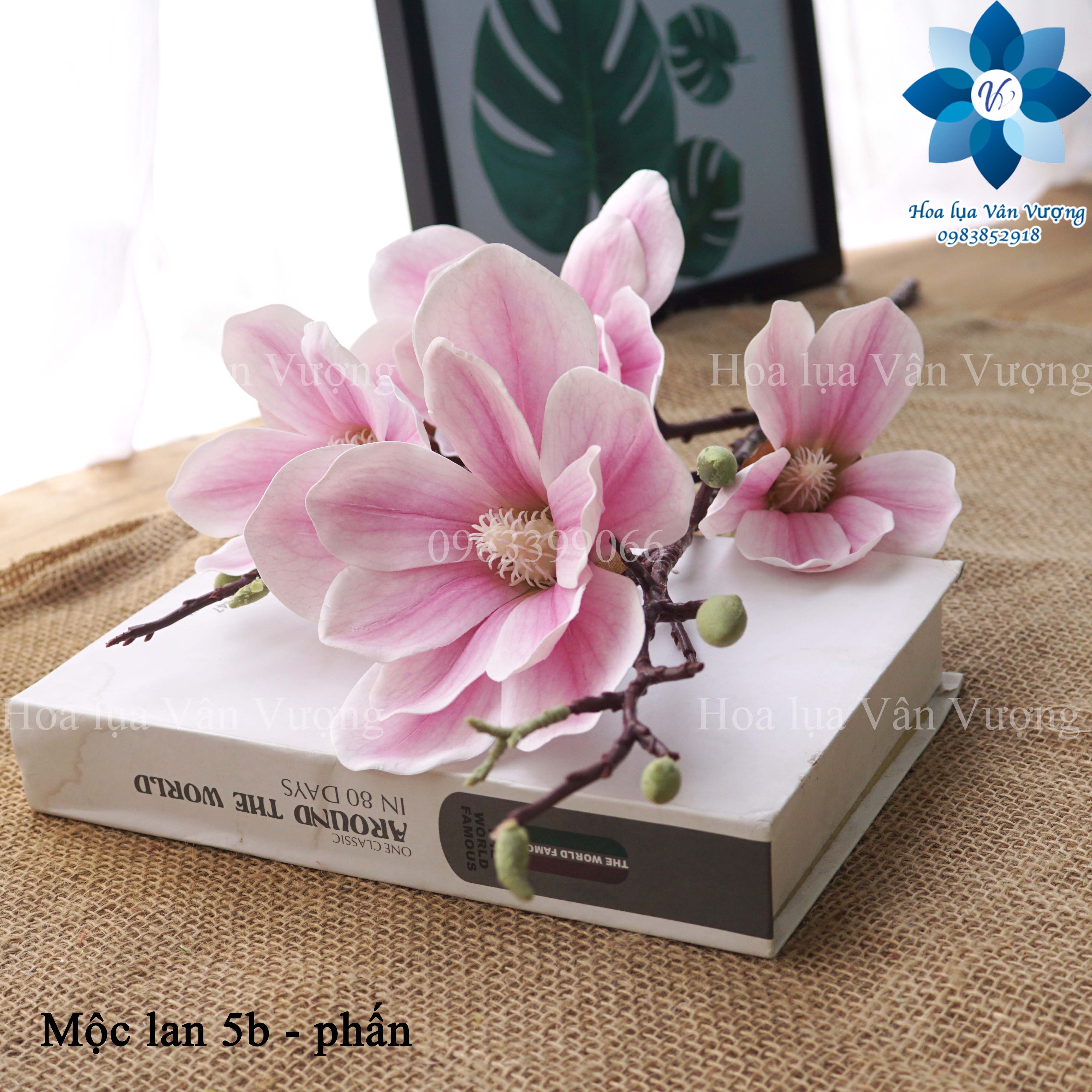 Hoa Giả, Cành Hoa Mộc Lan 5 Bông