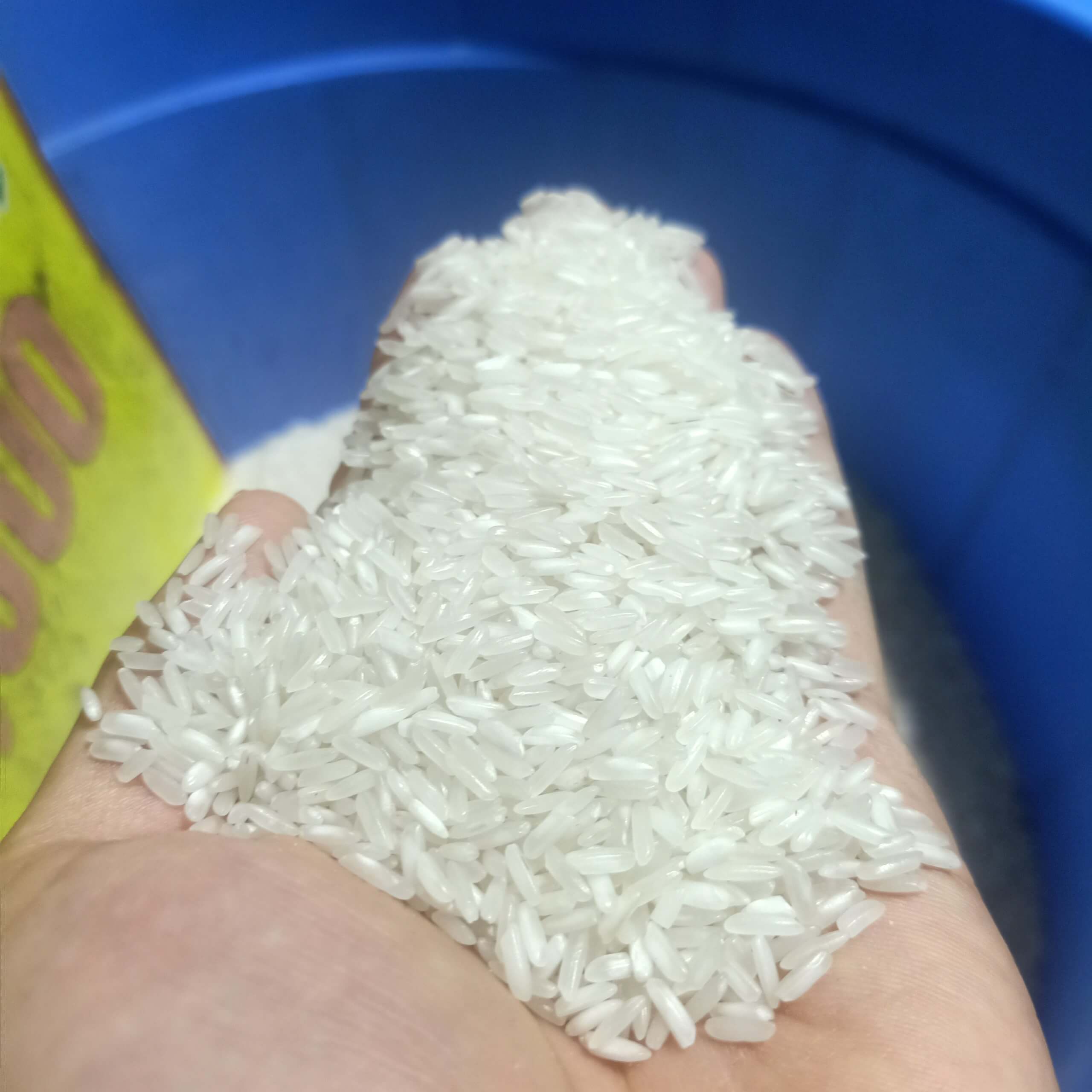 [HCM]Gạo Thơm lài - Dẻo vừa