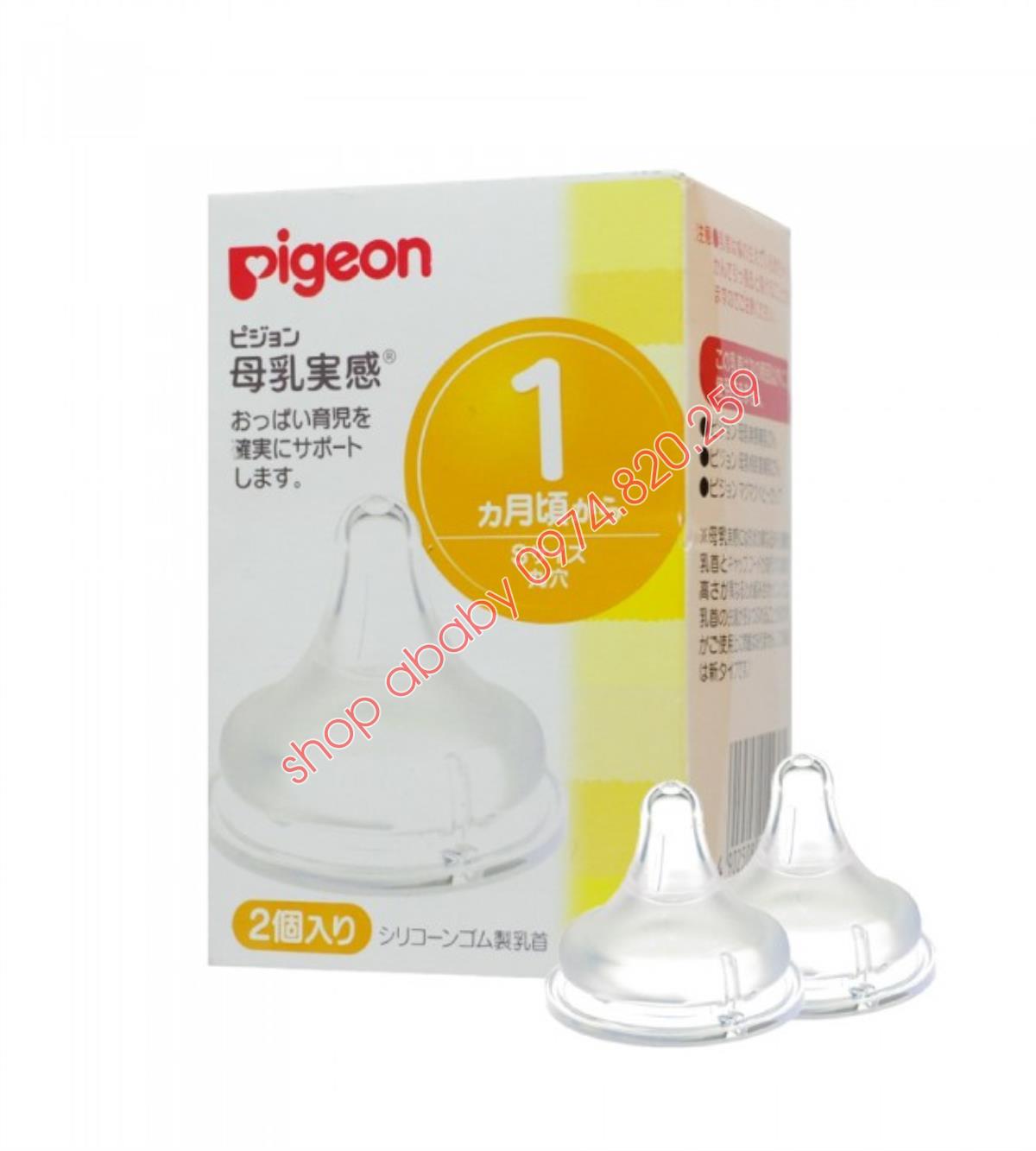 NÚM PIGEON NỘI ĐỊA