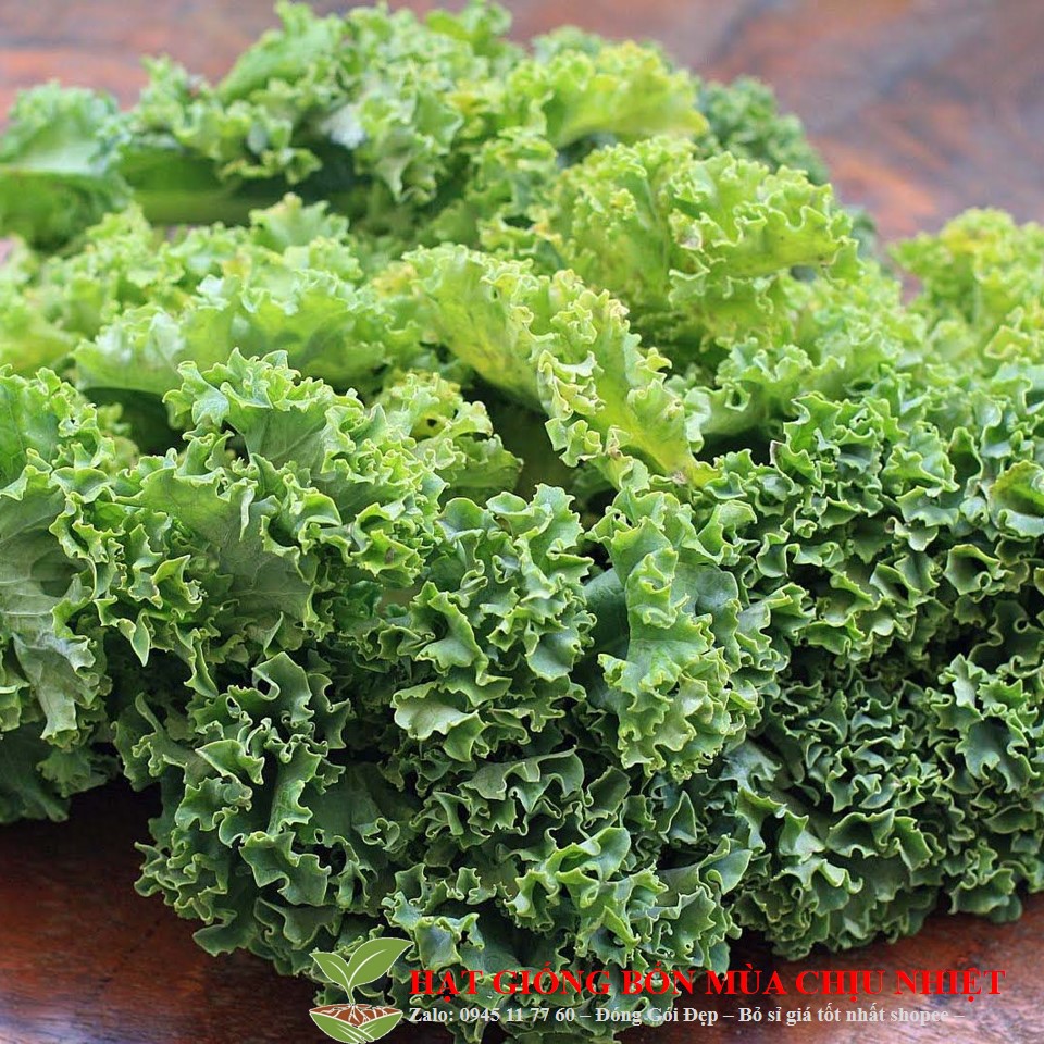 29C Hạt Giống Cải Xoăn Kale 20 Hạt