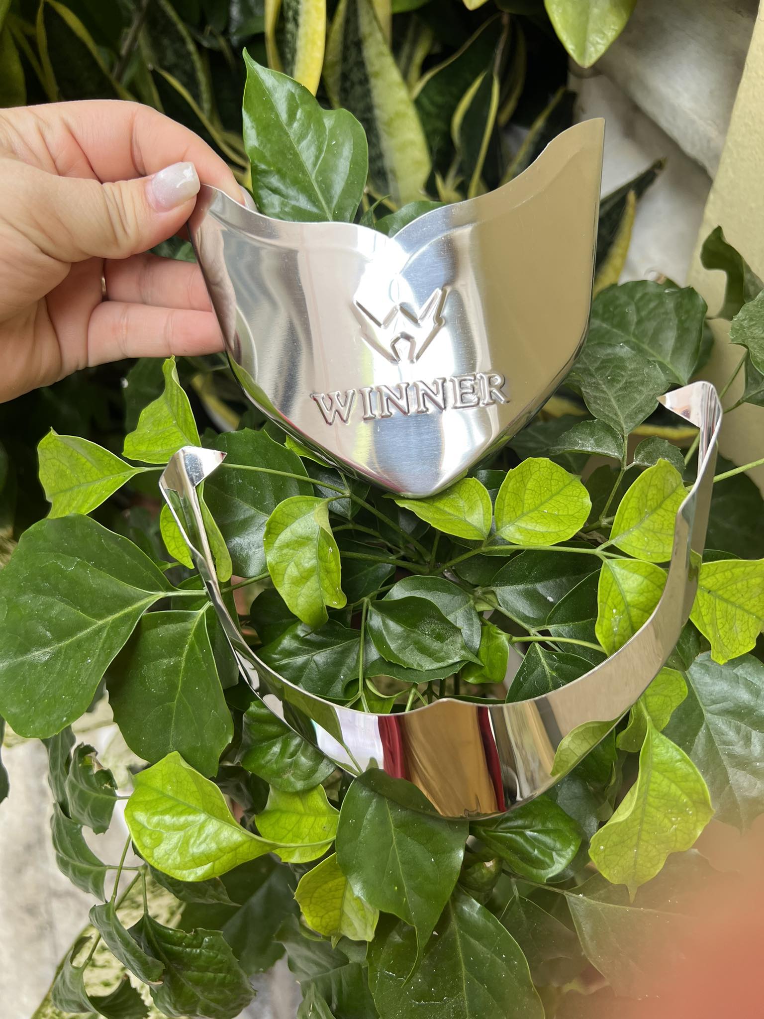 BỘ MỎ ĐUÔI DÈ XE WINNER X INOX
