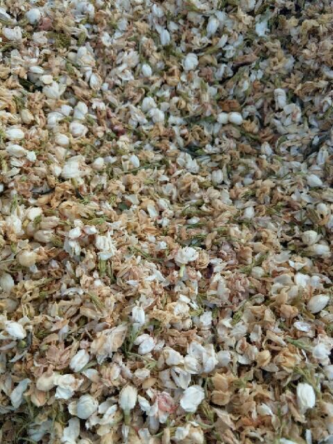 Hoa nhài sấy khô (Hoa lài) 500g