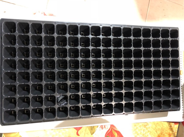 10 KHAY NHỰA GIEO ƯƠM HẠT GIỐNG (128 lỗ)
