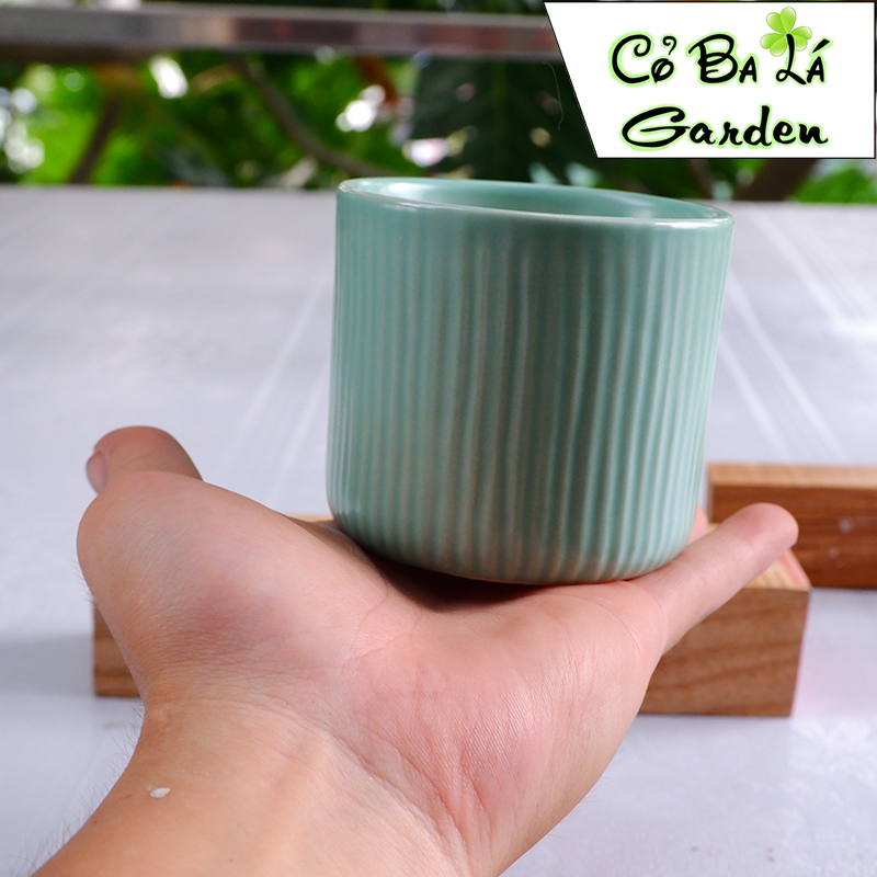 chậu sứ bát tràng hình trụ