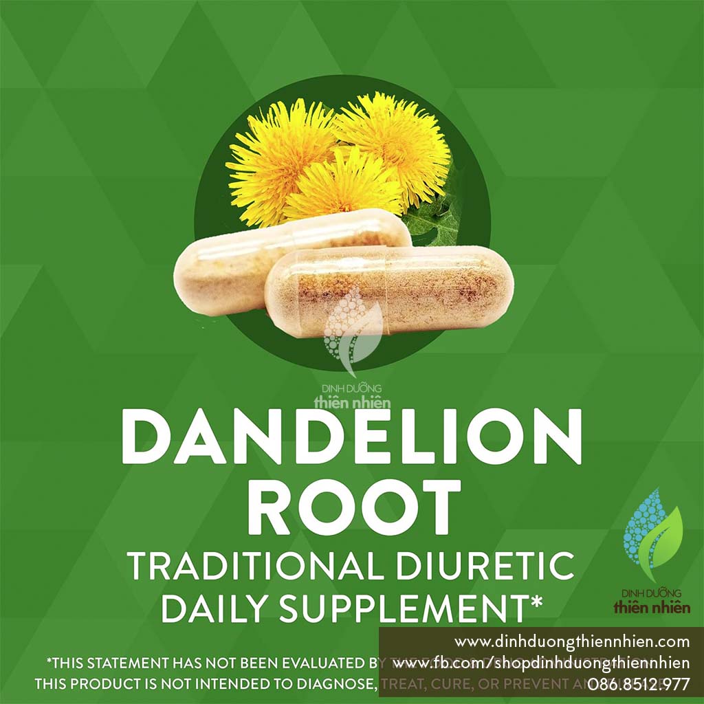Rễ Bồ Công Anh Nature's Way Dandelion Root, 100v