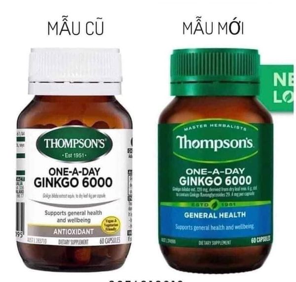 Bổ não thompson’s Ginko 6000 mẫu mới