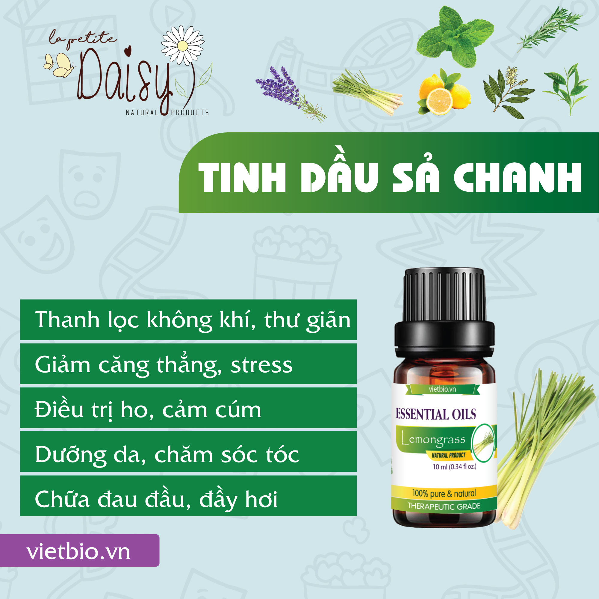 Tinh dầu sả chanh 50ml