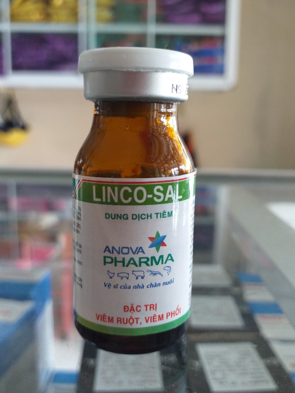 LINCO-SAL 100ml - VIÊM RUỘT, VIÊM PHỔI