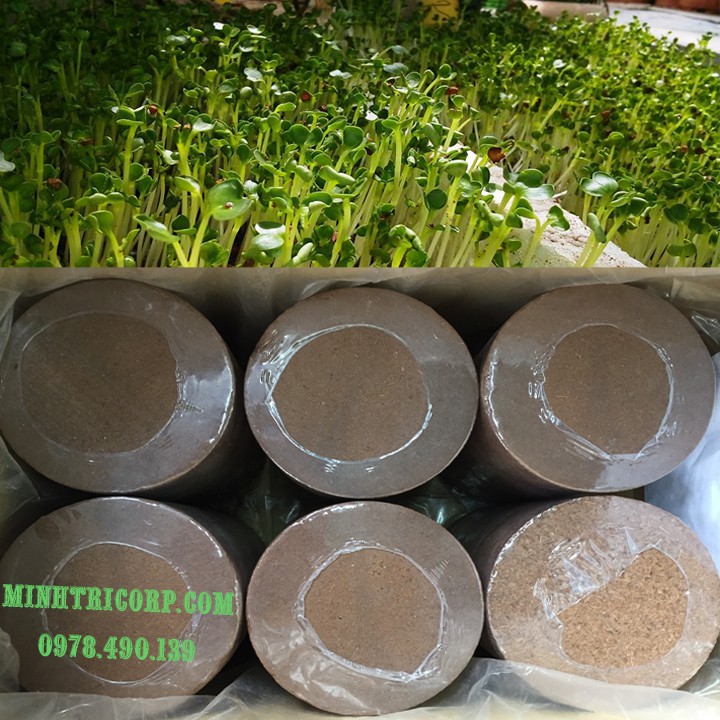 [HCM]BLOCK GIÁ THỂ MỤN DỪA 4 VIÊN