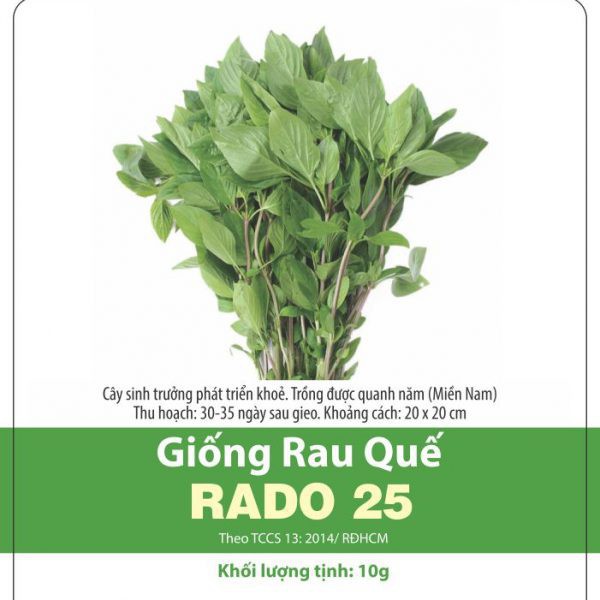 Hạt giống rau quế, húng quế 10gram