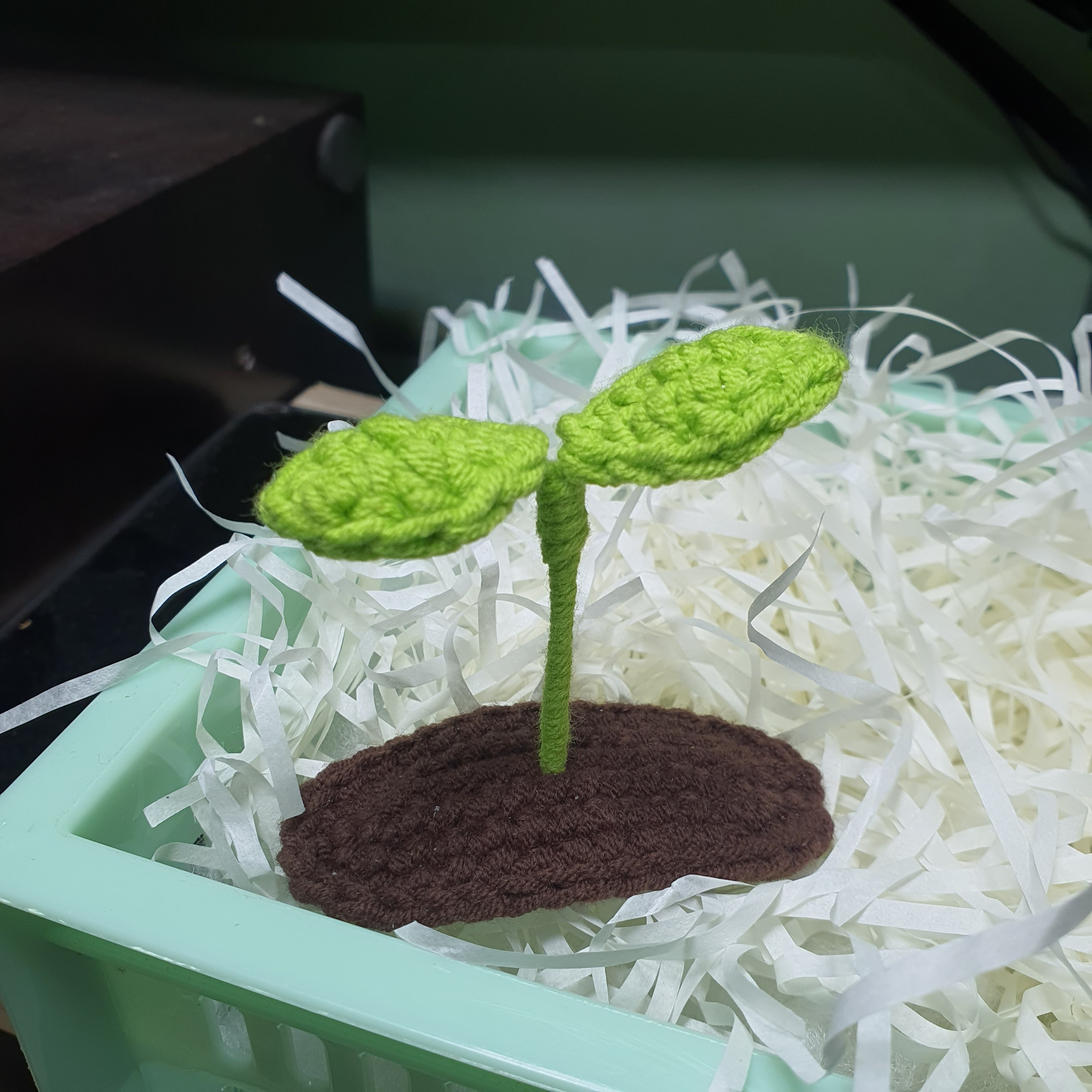 Kẹp tóc cây mầm bằng len handmade có cây mầm ở trên