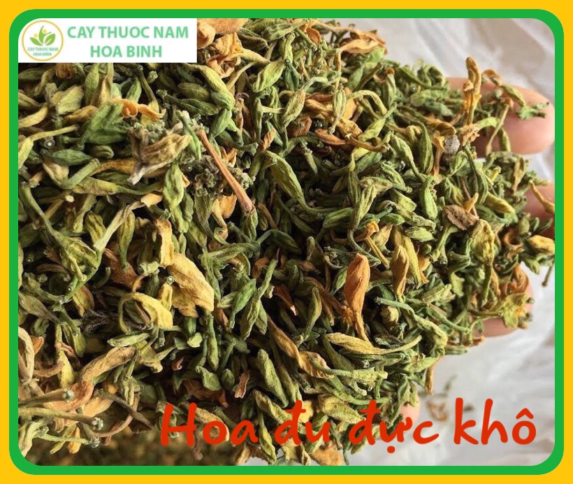100g hoa đu đủ đực khô (đã sao vàng hạ thổ)