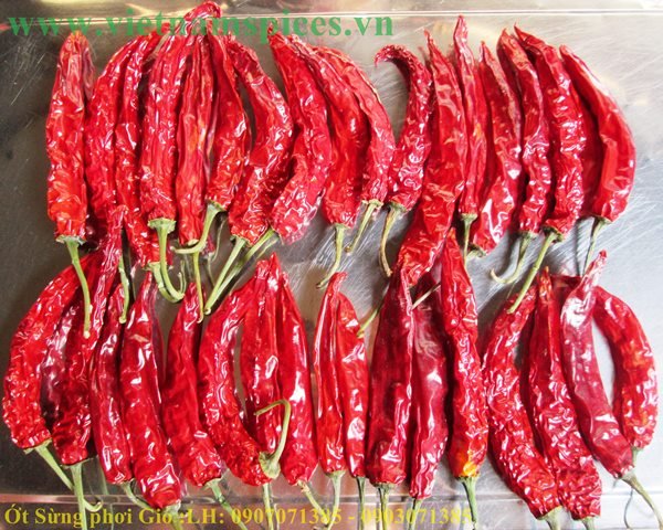 [HCM]ớt sừng trái phơi khô cao cấp 100gram