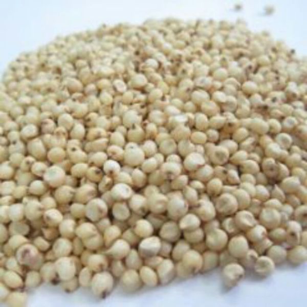 Hạt bobo (ý dĩ) nguyên hạt 500g