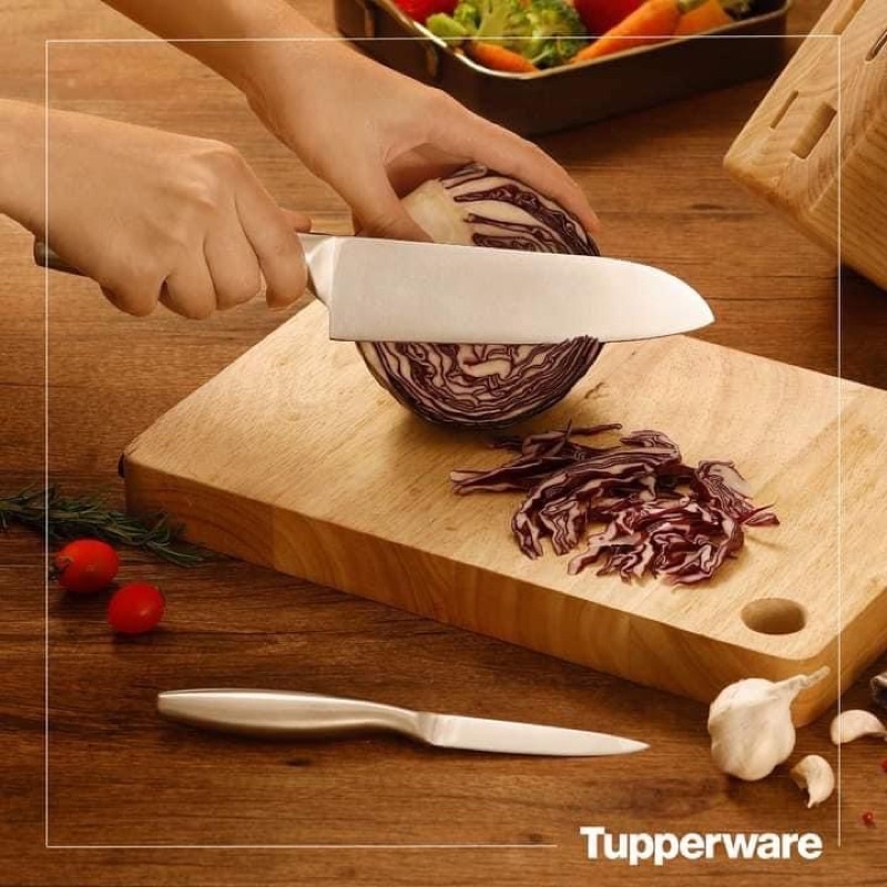 Dao đa năng Pro-Asian Santoku Knife