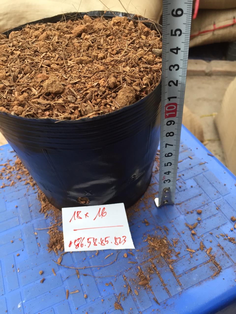 1kg túi bầu ươm cây bằng nhựa dẻo (Bịch bầu cây) Cỡ 18x16