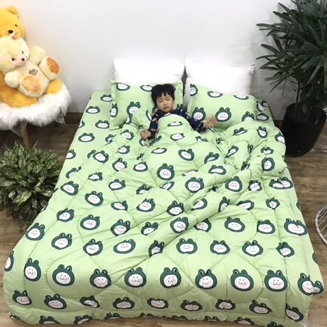 Set 4 Chăn Phao Cotton Poly  ẾCH XANH đáng yêu,dễ thương