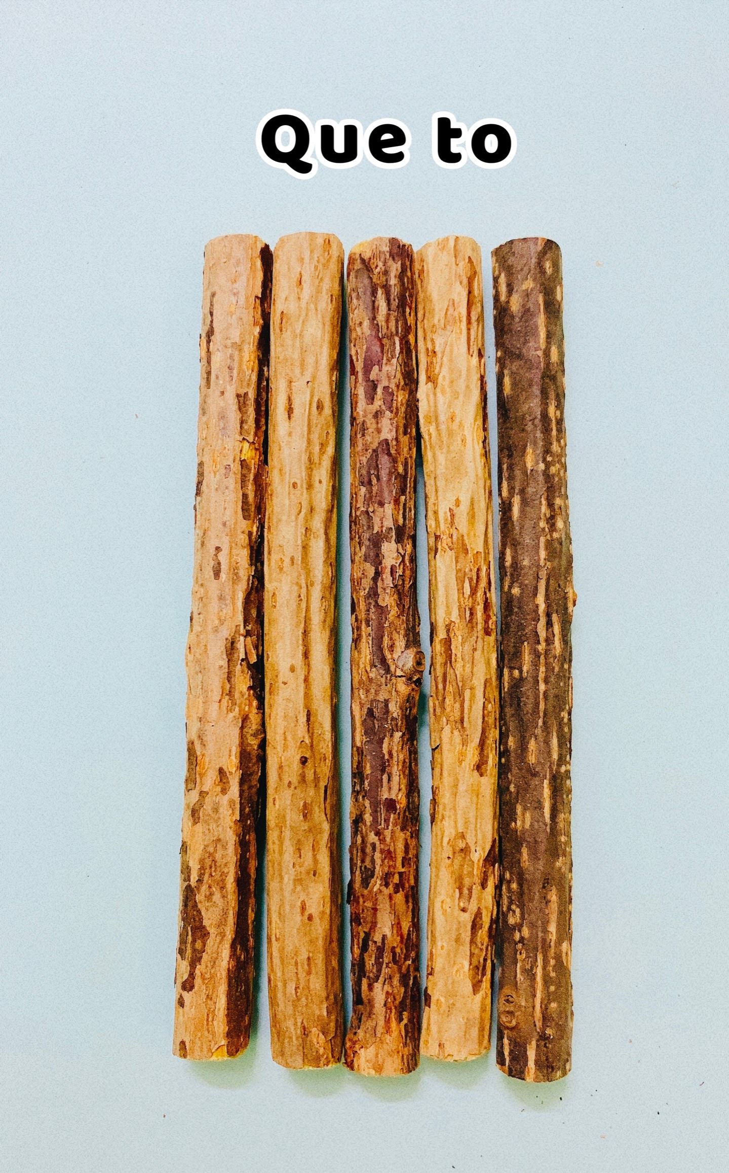 QUE GẶM CATNIP CHO MÈO GẶM SẠCH RĂNG VÀ XÃ STRESS