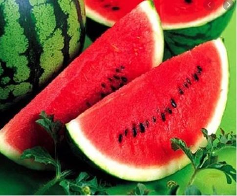 Gói 1g hạt giống dưa hấu F1