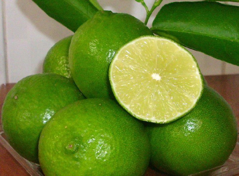 CÂY GIỐNG CHANH GIẤY KHÔNG HẠT [ GIỐNG MỚI - SIÊU SỚM ].