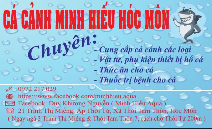 [HCM]Máy bơm nước LifeTech AP 5400 (Hàng công ty - có tem nhãn)