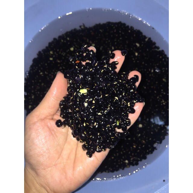 [HCM]Đậu Đen Xanh Lòng Thiện Phát Rang Mộc|500G