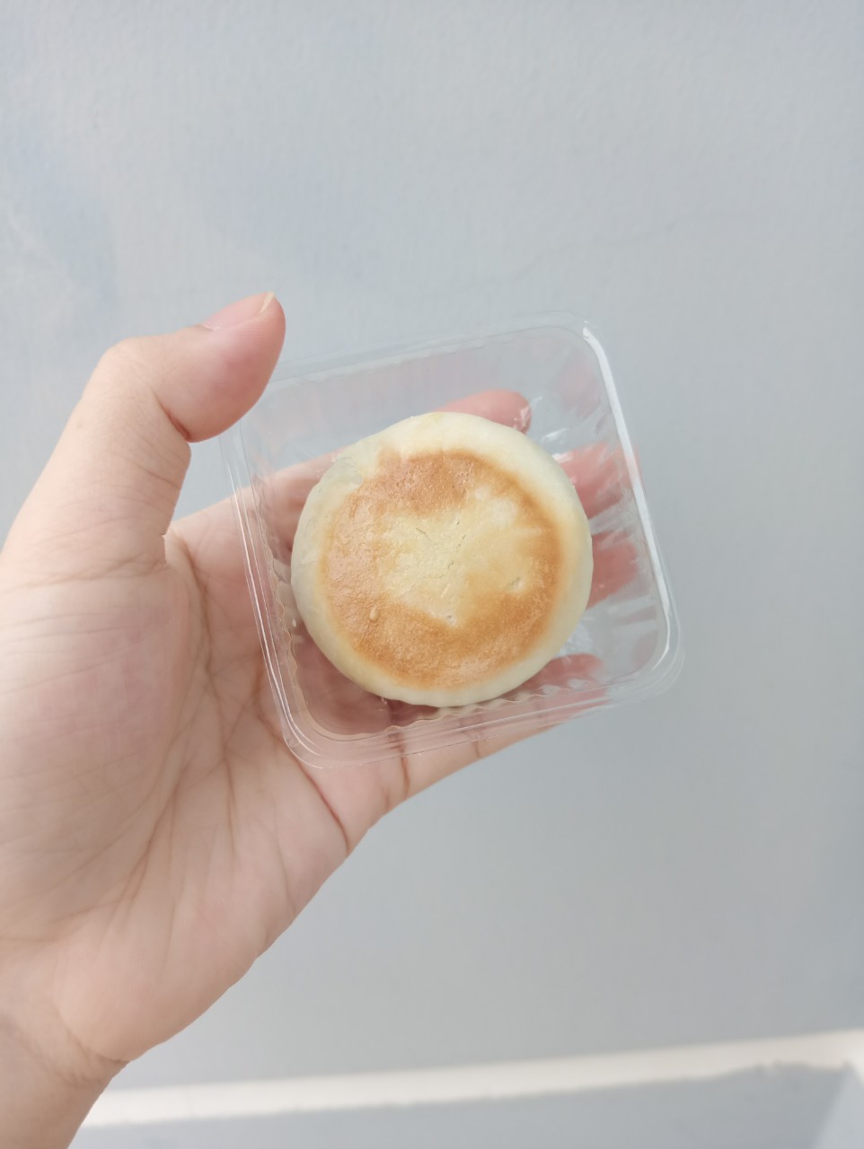 BÁNH PÍA KIM SA DỨA (480g_12 cái)