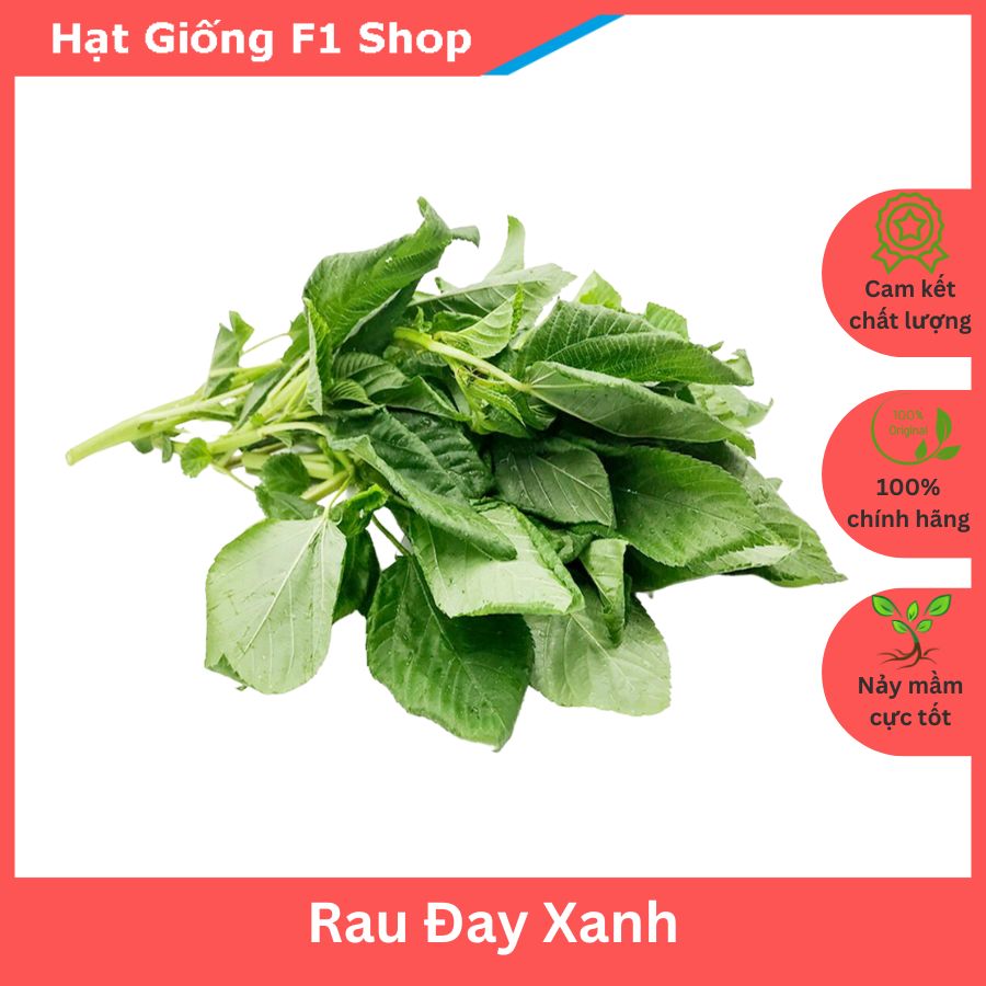 Hạt Giống Rau Đay Xanh Ngọt Thơm