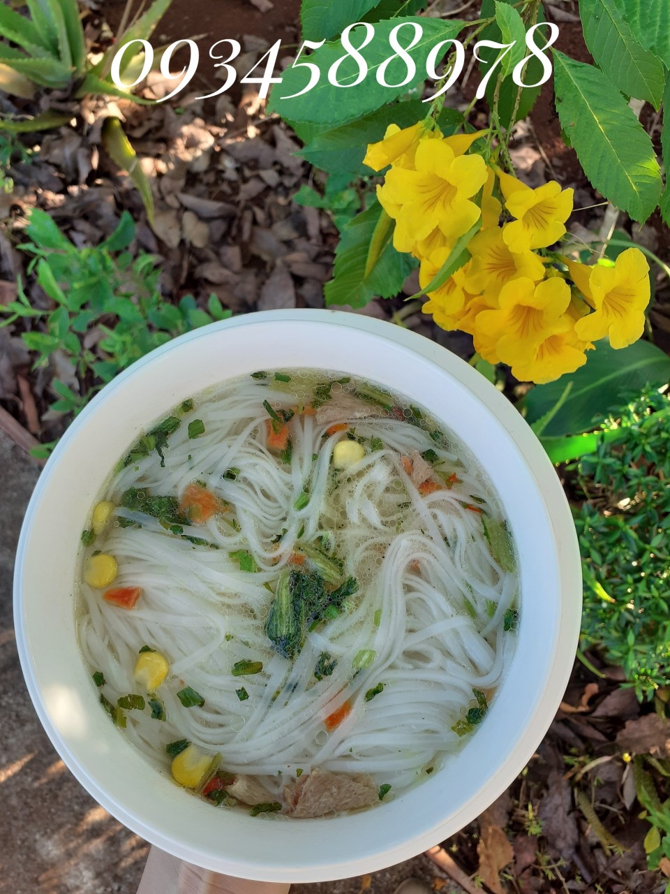 Hủ tiếu thuần chay Loving
