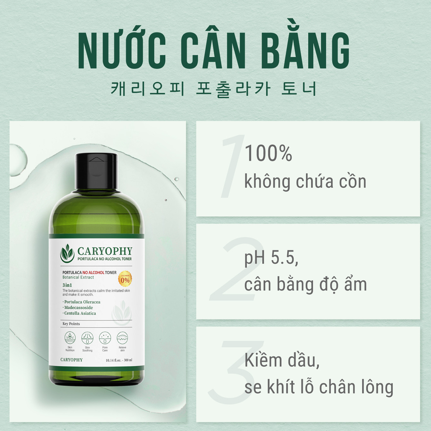 Combo chăm sóc da giảm mụn mờ thâm Caryophy Portulaca (Serum giảm mụn 10ml - Toner không cồn 300ml)