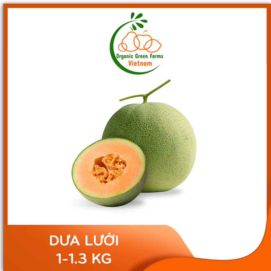 [OGF] - Dưa lưới - Giao nhanh HCM