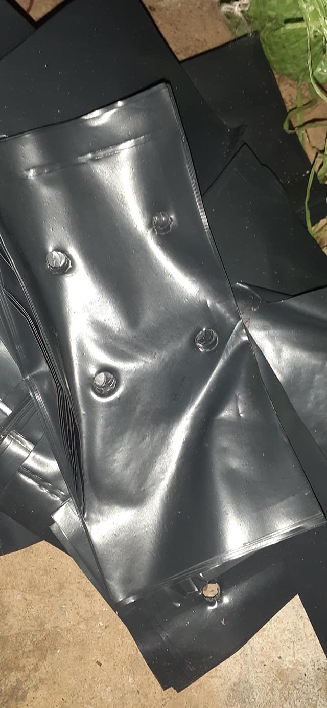 0,5Kg Túi bầu ươm cây