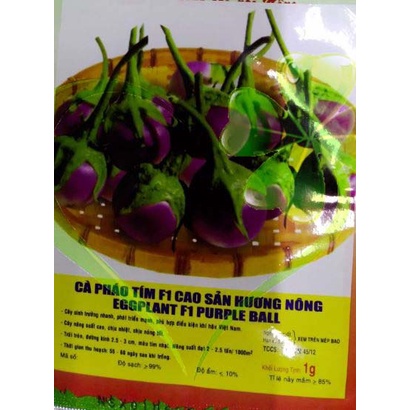 hạt giống CÀ PHÁO TÍM F1 - GÓI 1 GRAM