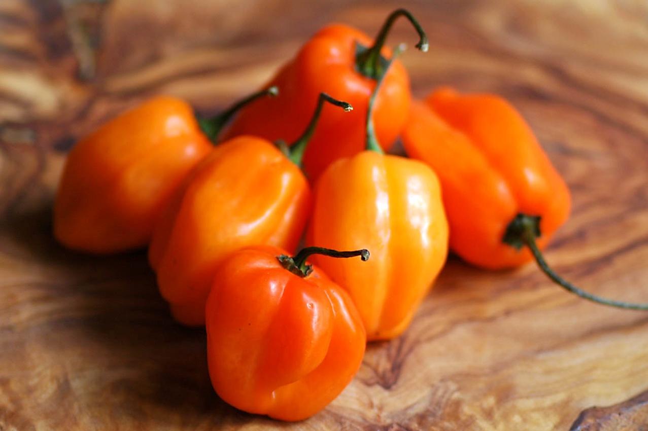 Hạt Giống Ớt - Cay Nhất Thế Giới C.Reaper ( Capsicum Chinense)
