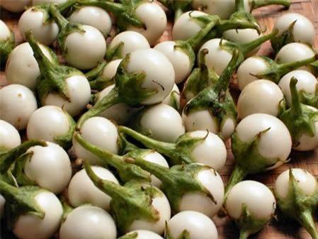 Combo 4 gói hạt giống cà (cà bát da ếch + bát trắng + pháo trắng + bát tím )