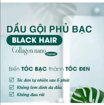 [Chính hãng; 200ML, HSD 2026] Dầu gội nhuộm tóc phủ bạc thảo dược Queen.