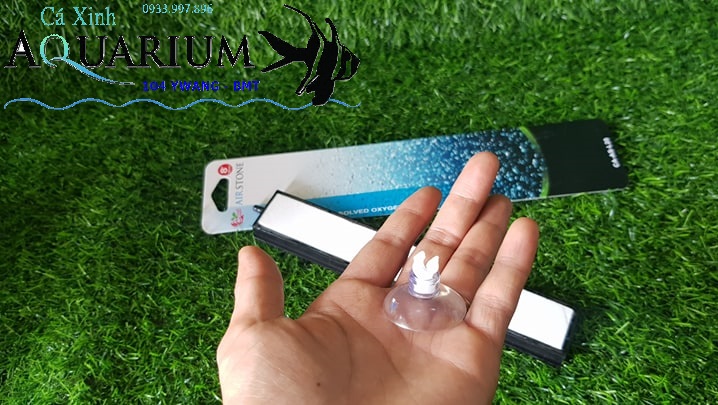 Thanh sủi Đài Loan siêu mịn dài 20cm