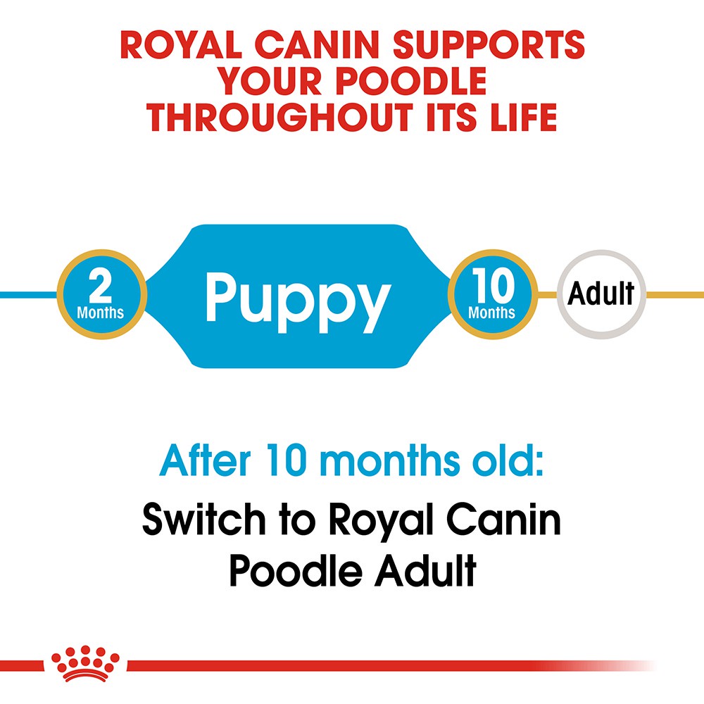 [HCM]THỨC ĂN HẠT ROYAL CANIN POODLE PUPPY - CHÓ CON