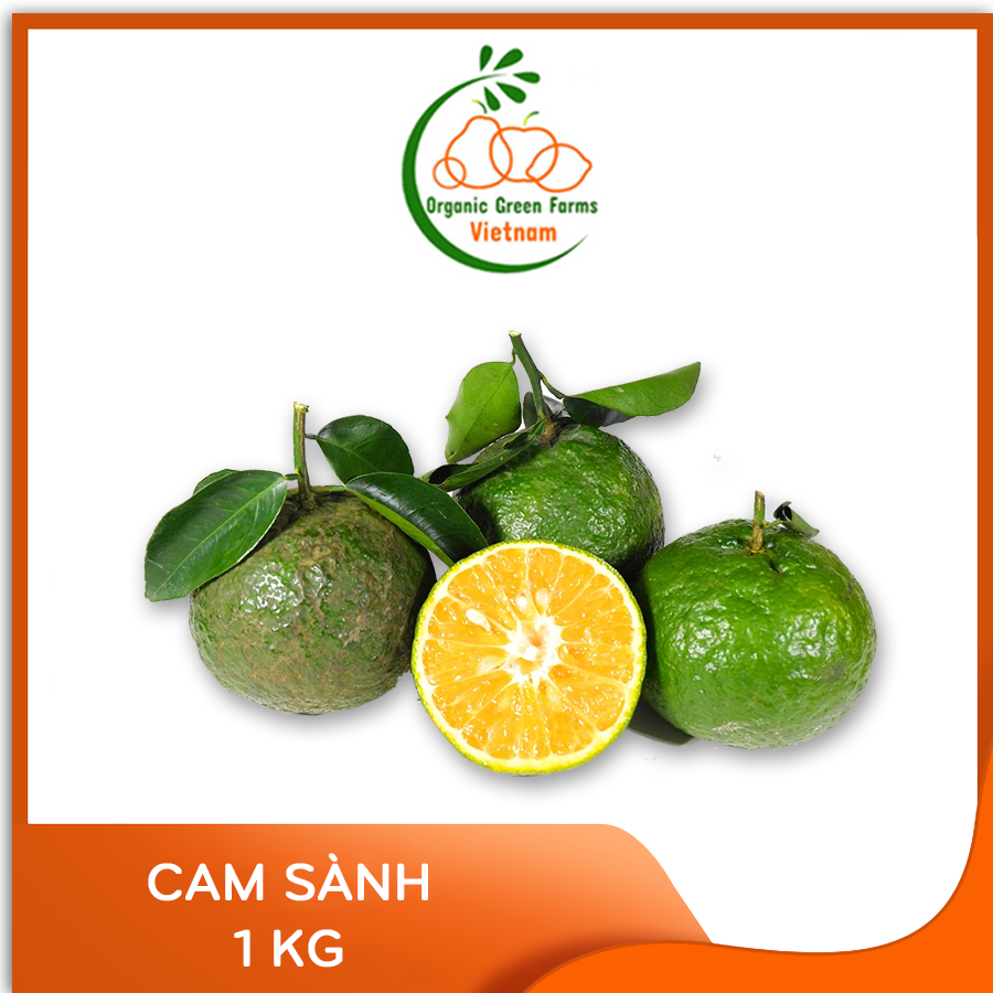[OGF] - Cam sành (1kg) - Giao nhanh HCM