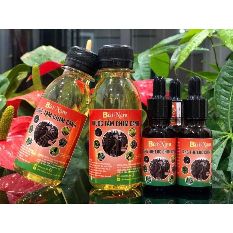 Nước tắm chim cảnh bùi nam - nước tắm chim cao cấp