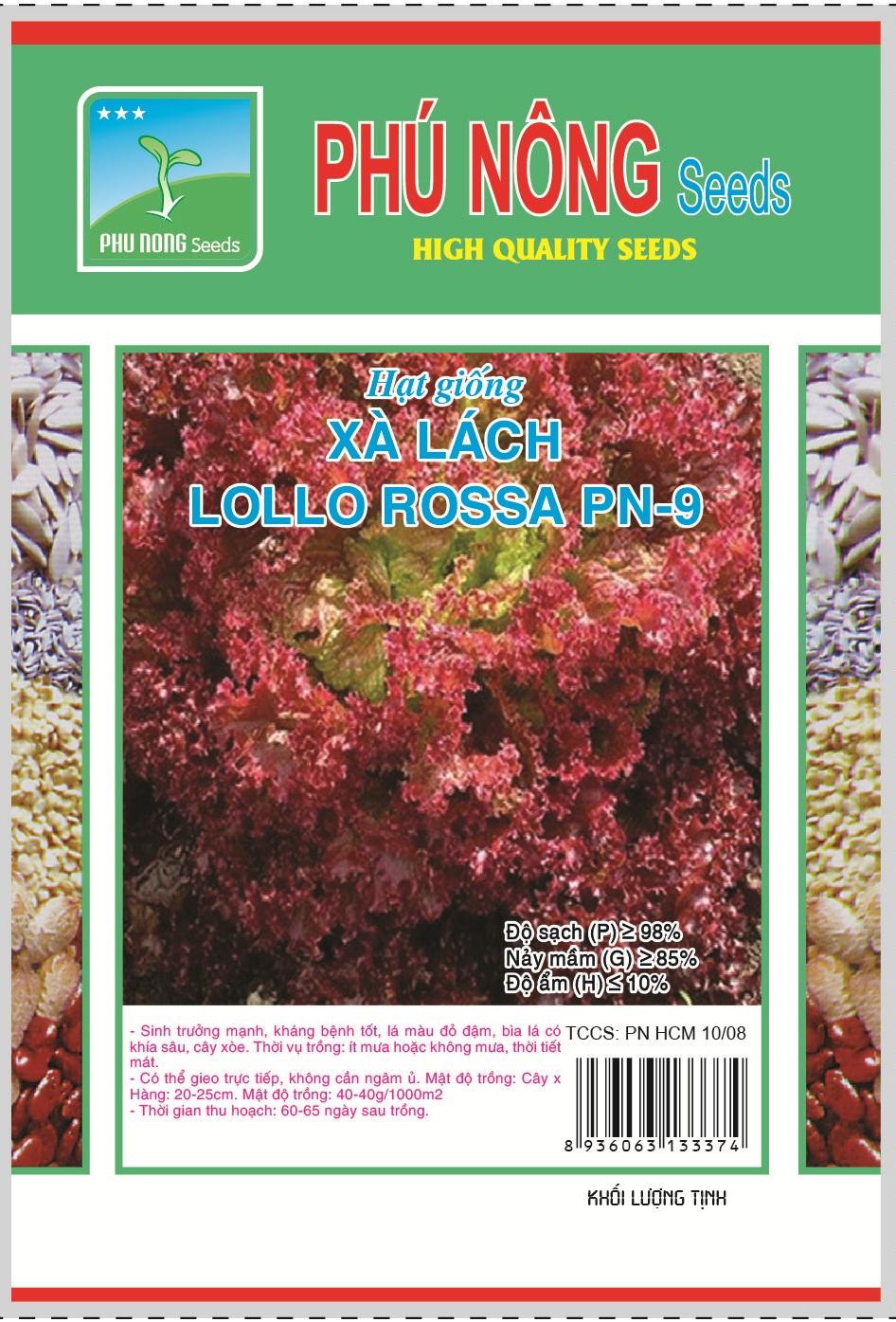 hạt giống xà lách tím LOLO ROSSA