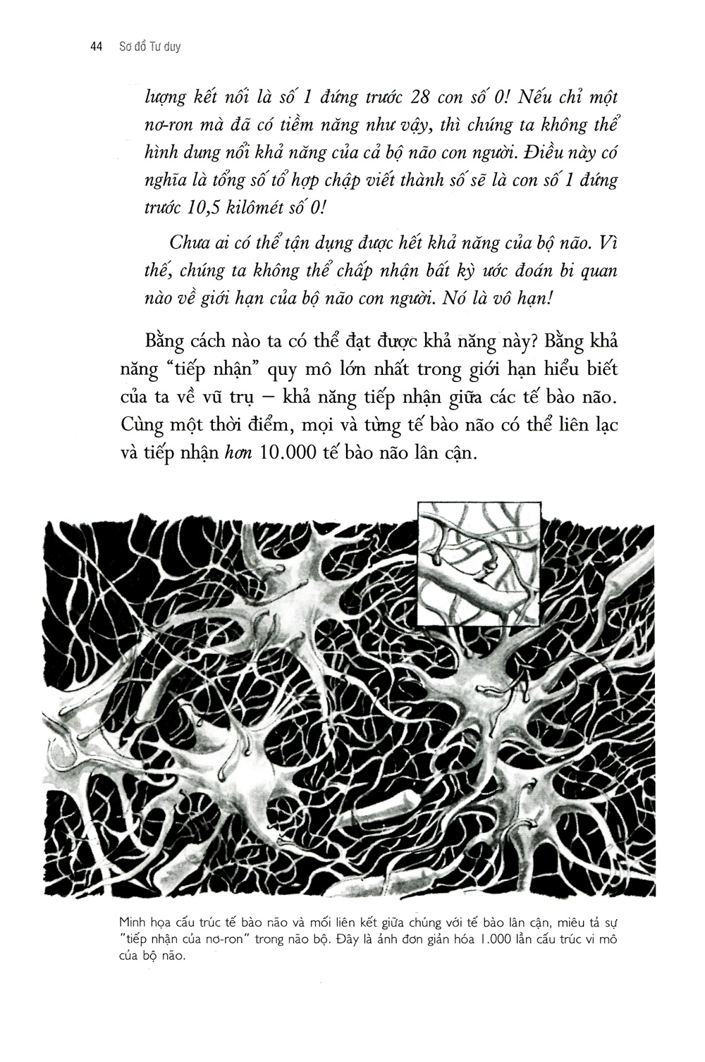 Sơ Đồ Tư Duy - Tony Buzan